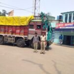 CSEB HOSPITAL के स्टोर रूम में घुसा धामिन सांप