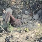 मुख्यमंत्री ने किया अयोध्या तीर्थ यात्रा के स्पेशल ट्रेन के ब्रोशर का विमोचन
