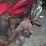 गेवरा प्रोजेक्ट में रसोई गैस के लिए बवाल, 15 दिनों से खाली हाथ लौट रहे उपभोक्ता, एजेंसी में जमकर हंगामा